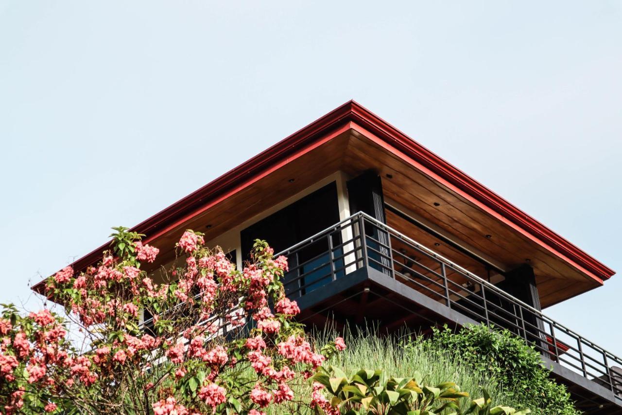 Villa Costa Pura Vida Охочал Екстериор снимка