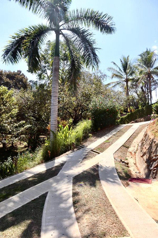 Villa Costa Pura Vida Охочал Екстериор снимка
