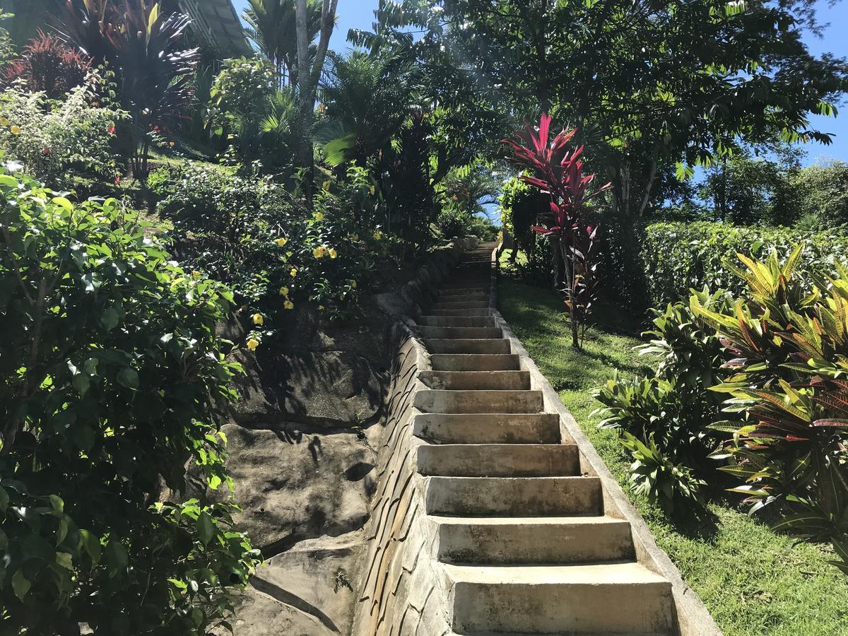 Villa Costa Pura Vida Охочал Екстериор снимка